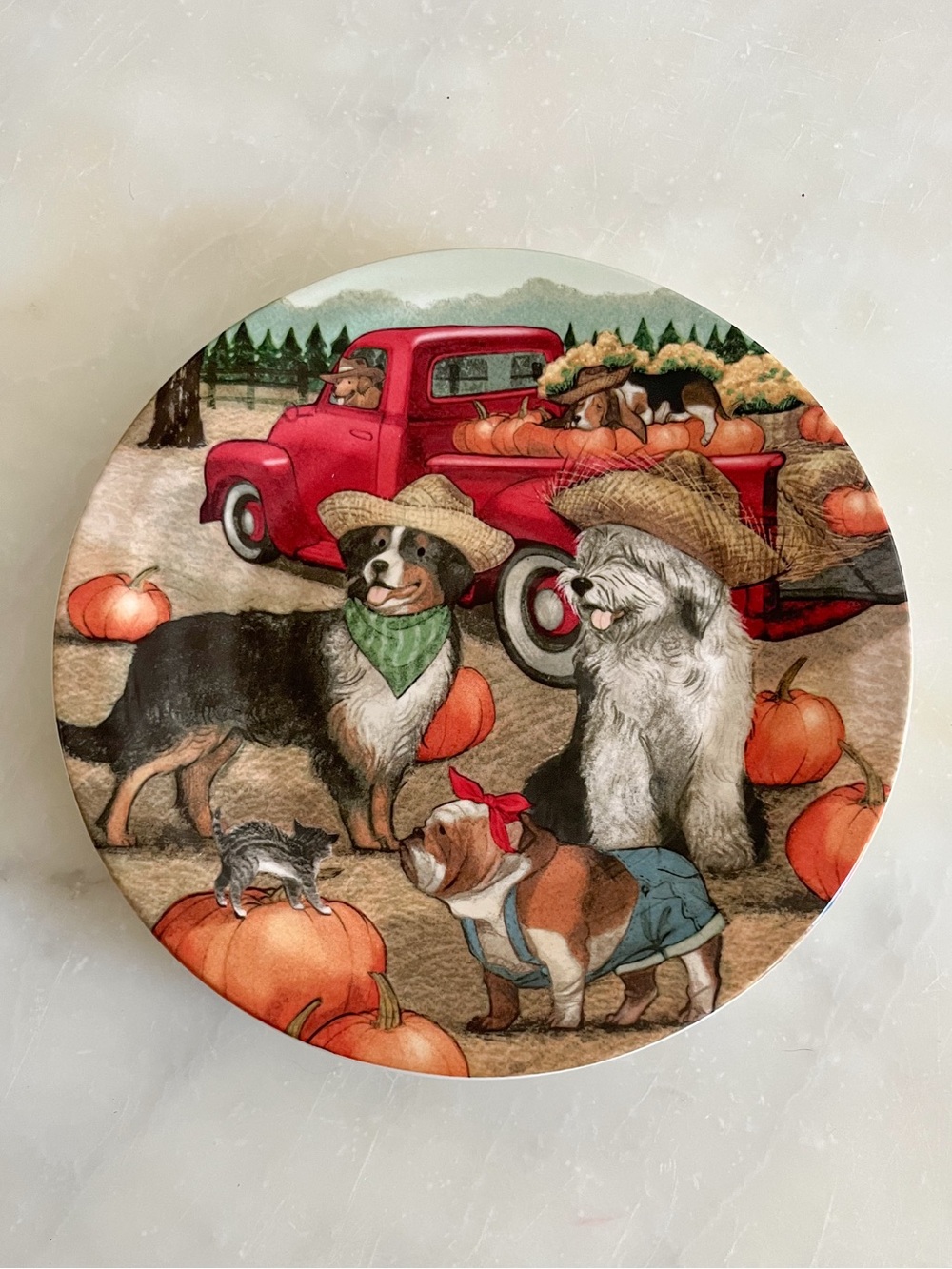PIER 1 Park Avenue Puppies Harvest Decorative Collectable Plate 9” Ironstone